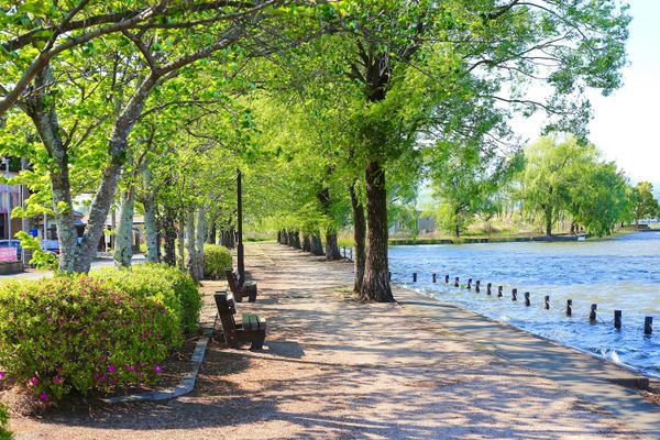 Garden Cleaning Services in Nepal