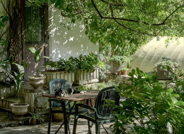 Gardening Services in Biratnagar