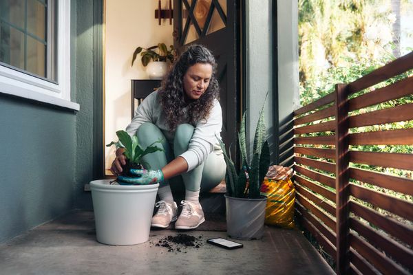 Why gardening for mental wellness?