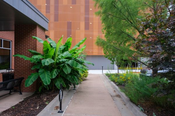 Garden Maintenance Services in Kathmandu