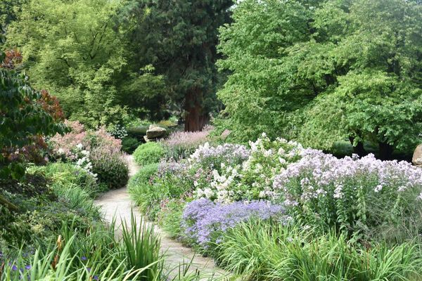 How to Choose the Best Gardening Company in Nepal