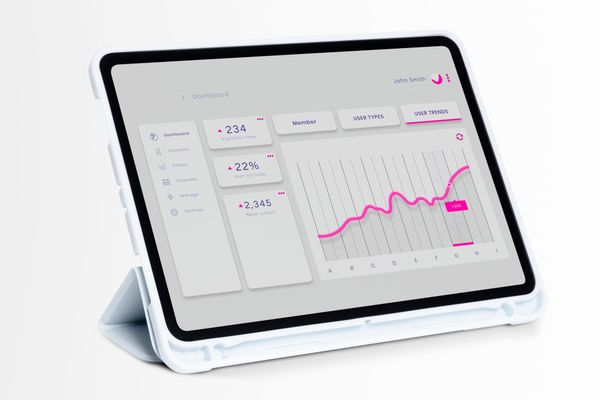 Data Visualization Basics: Turning Raw Data into Insights