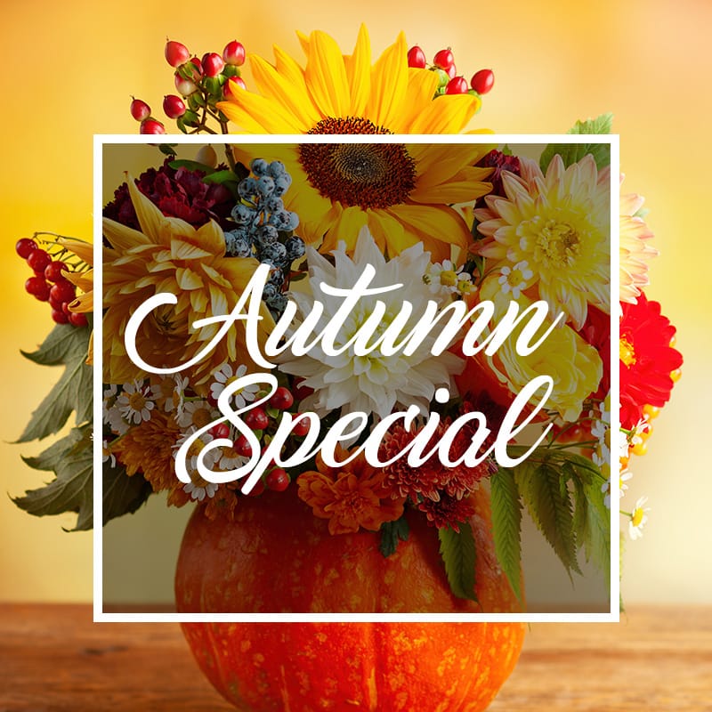 An "Autumn Special" flower arrangement with sunflowers and dahlias in a pumpkin vase. This custom Designer's Choice Autumn Rhapsody is a perfect Thanksgiving centerpiece from our Naples, Florida florist.