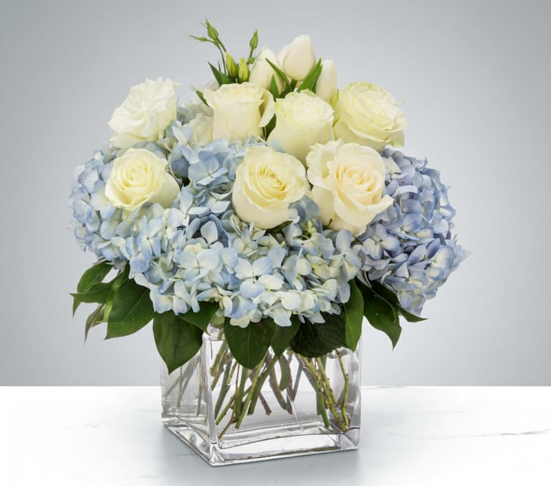 A luxury floral arrangement from Grace & Blooms called The Seabreeze, featuring lush blue hydrangeas and elegant white roses in a square glass vase. A perfect hostess gift in Naples, FL.
