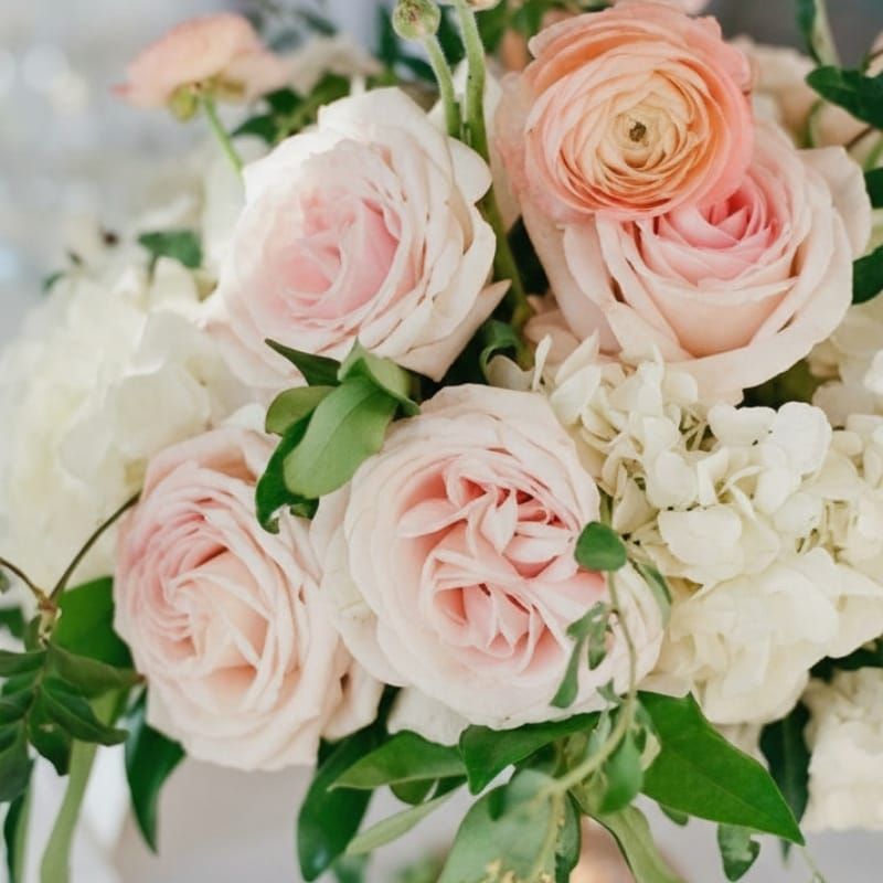 Your Guide to the Most Unforgettable Naples Wedding Venues for 2026