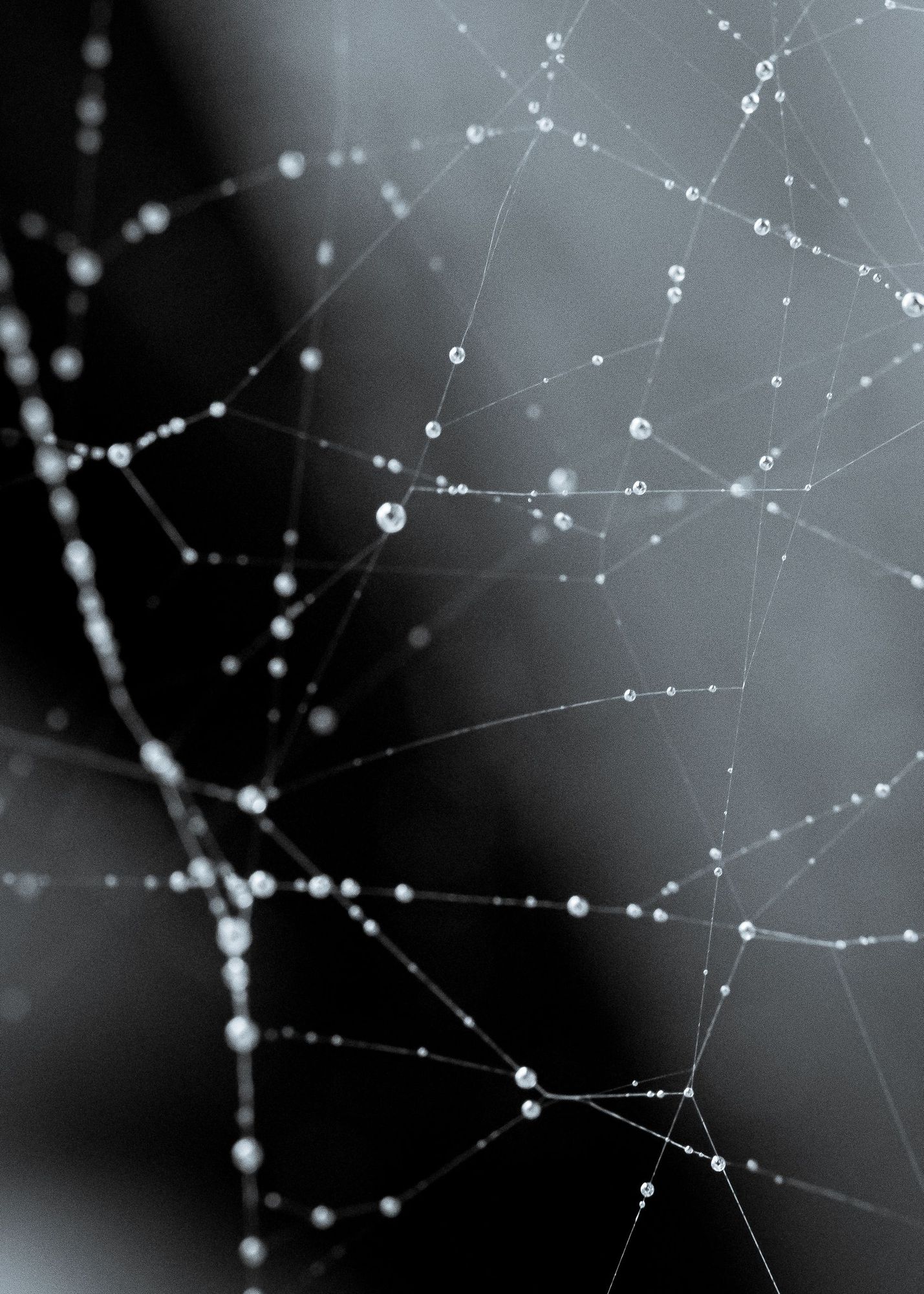 RECONFIGURATIONS OF EDUCATIONAL IN/EQUALITY IN A DIGITAL WORLD (RED)