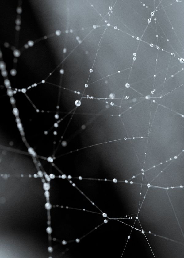 RECONFIGURATIONS OF EDUCATIONAL IN/EQUALITY IN A DIGITAL WORLD (RED)