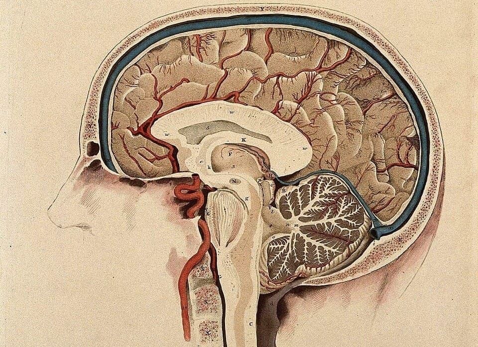 Why Humans Apologize to Objects