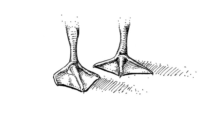 Podcast 3: School’s out