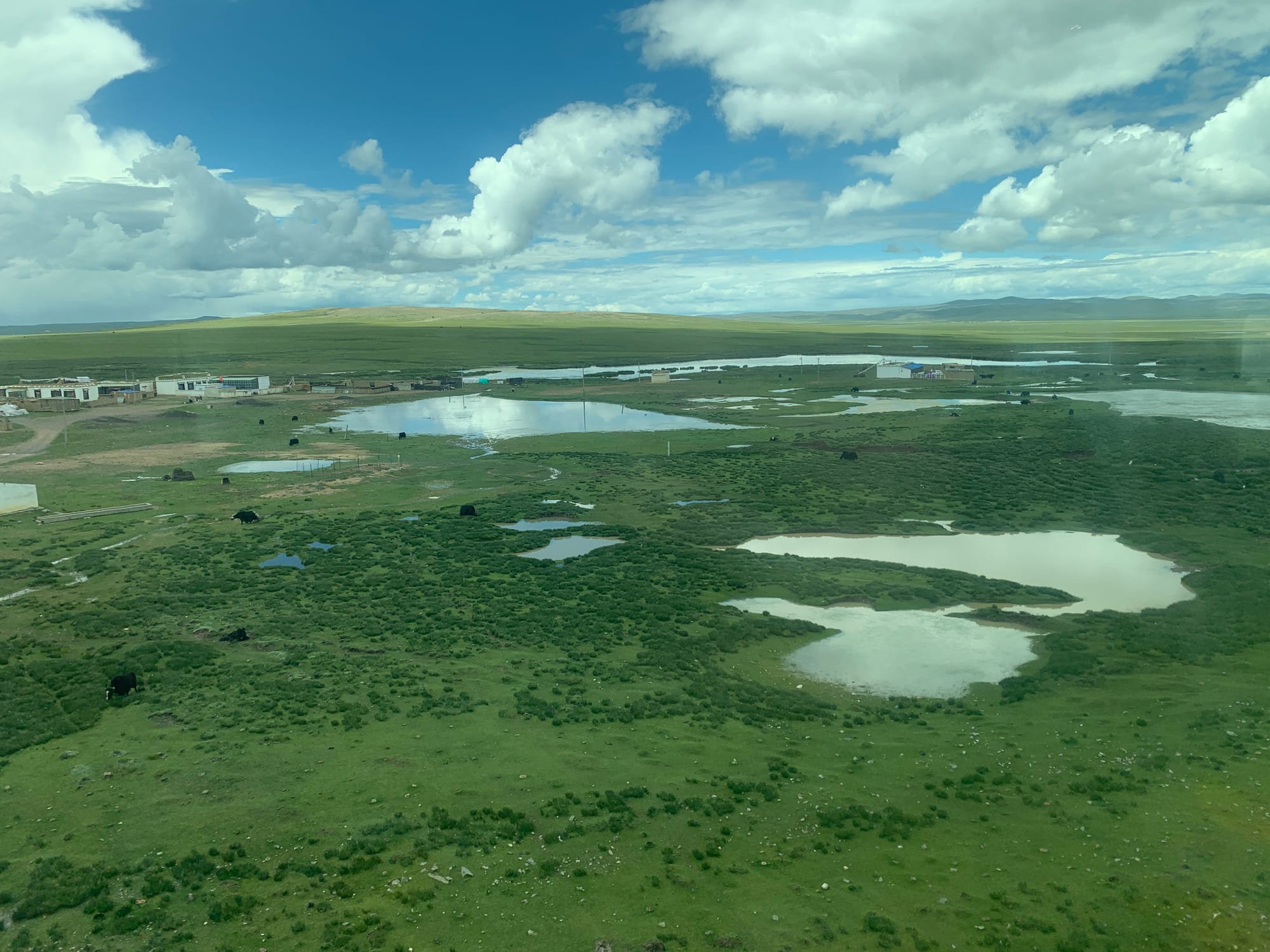 View of the Qinghai-Tibet Plateau from the train with yaks grazing in the distance