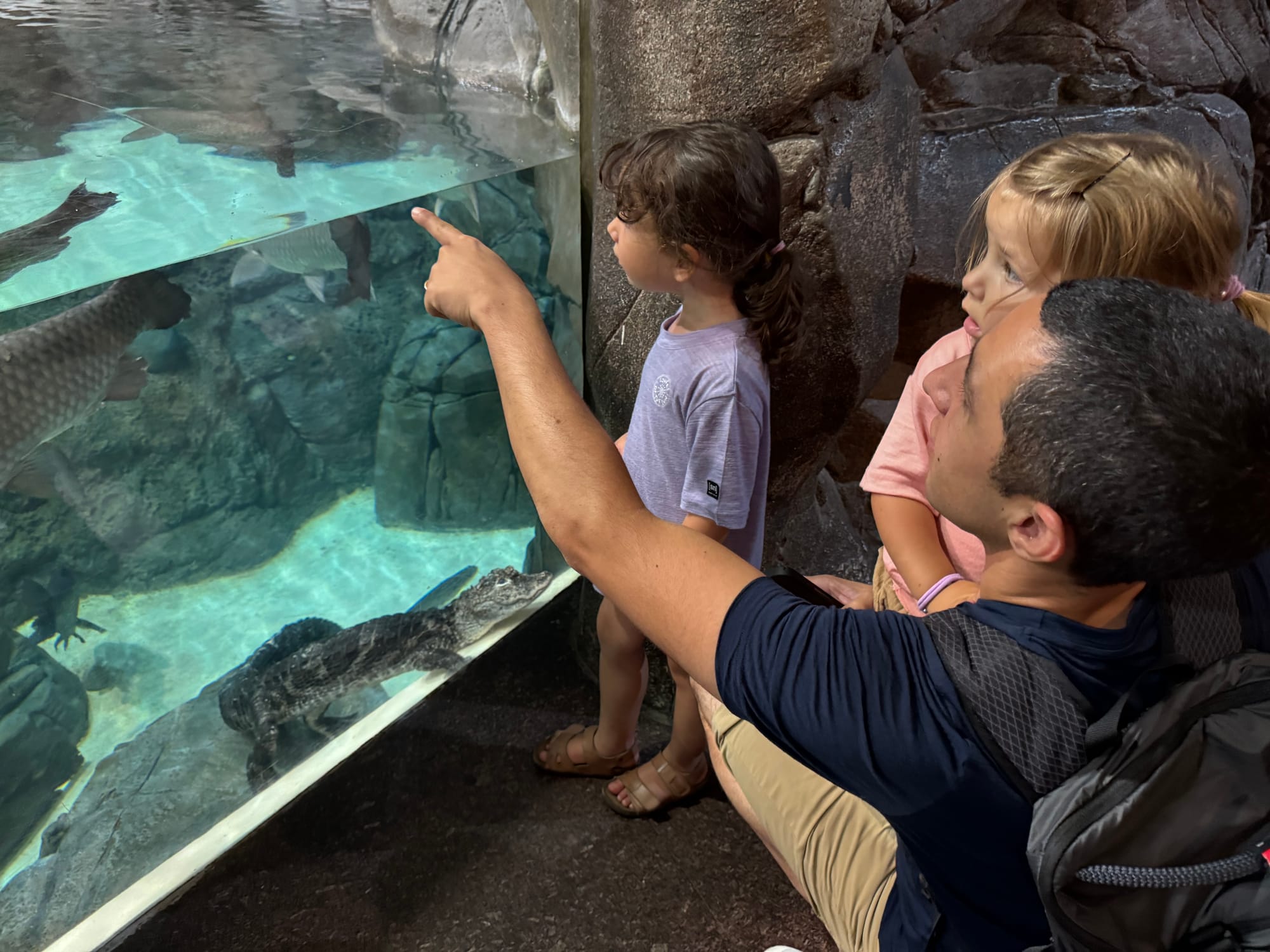 Shanghai Ocean Aquarium