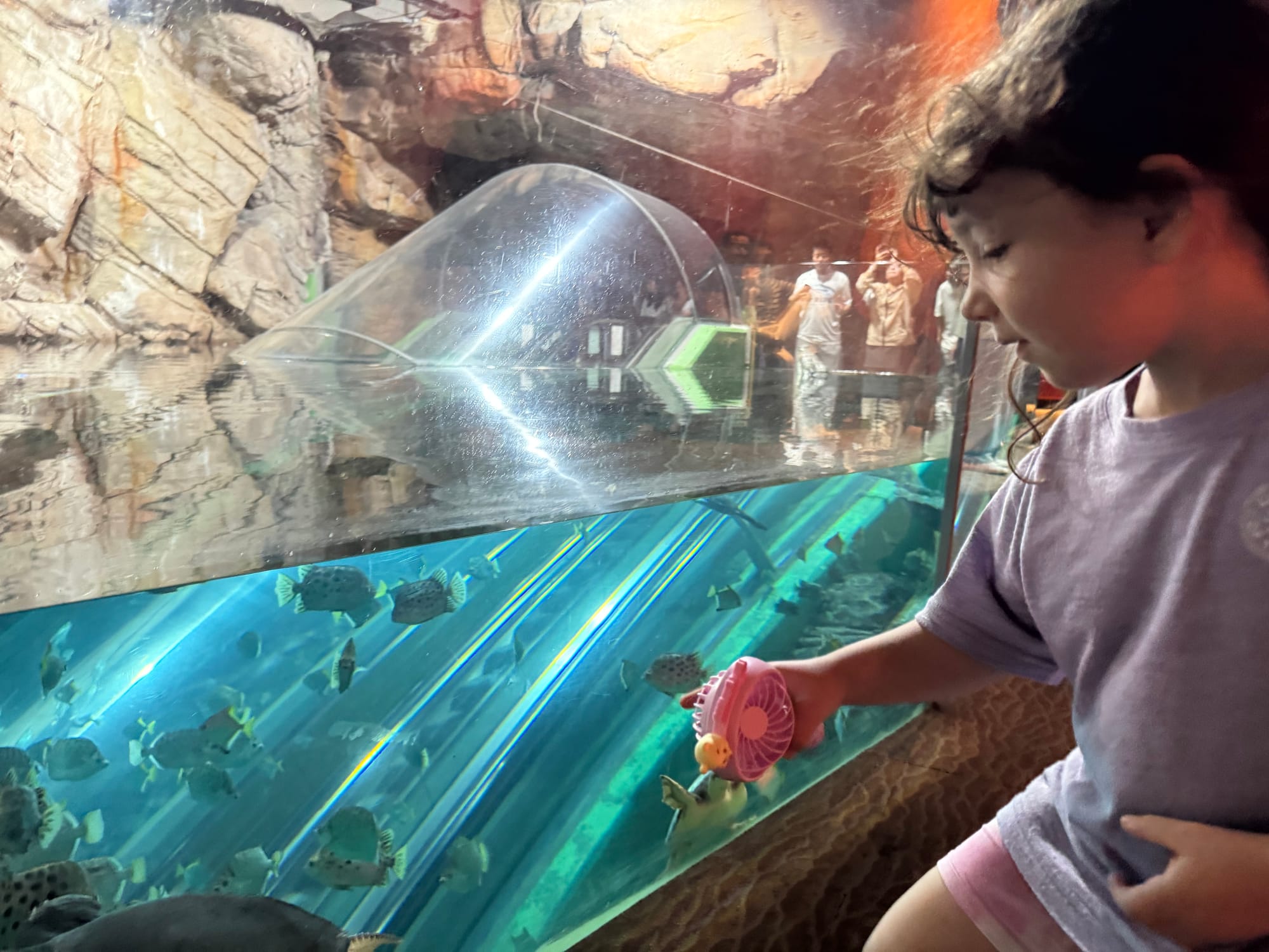 Escalator to underwater tunnel in Shanghai Ocean Aquarium