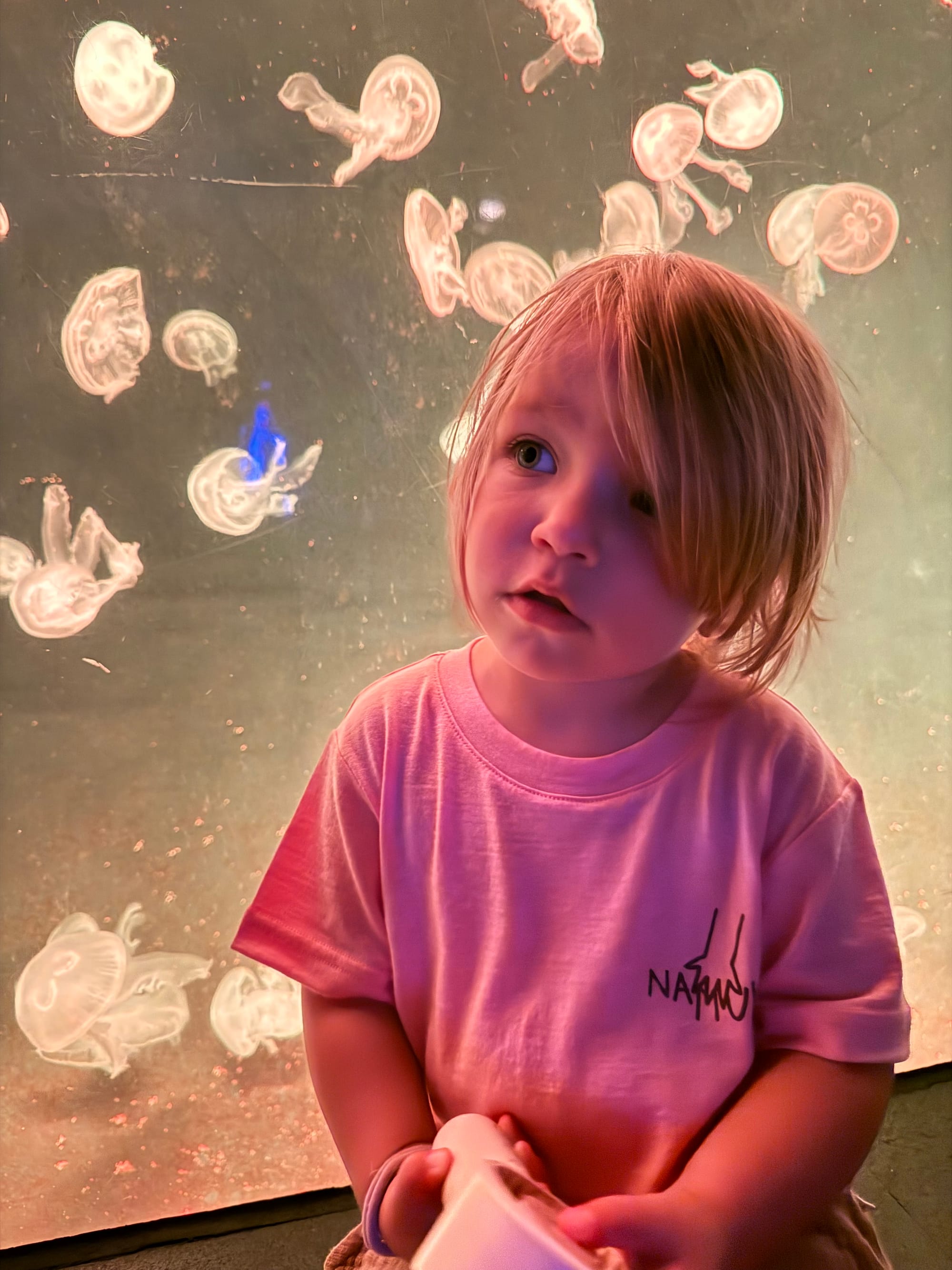 Jellyfish in Shanghai Ocean Aquarium