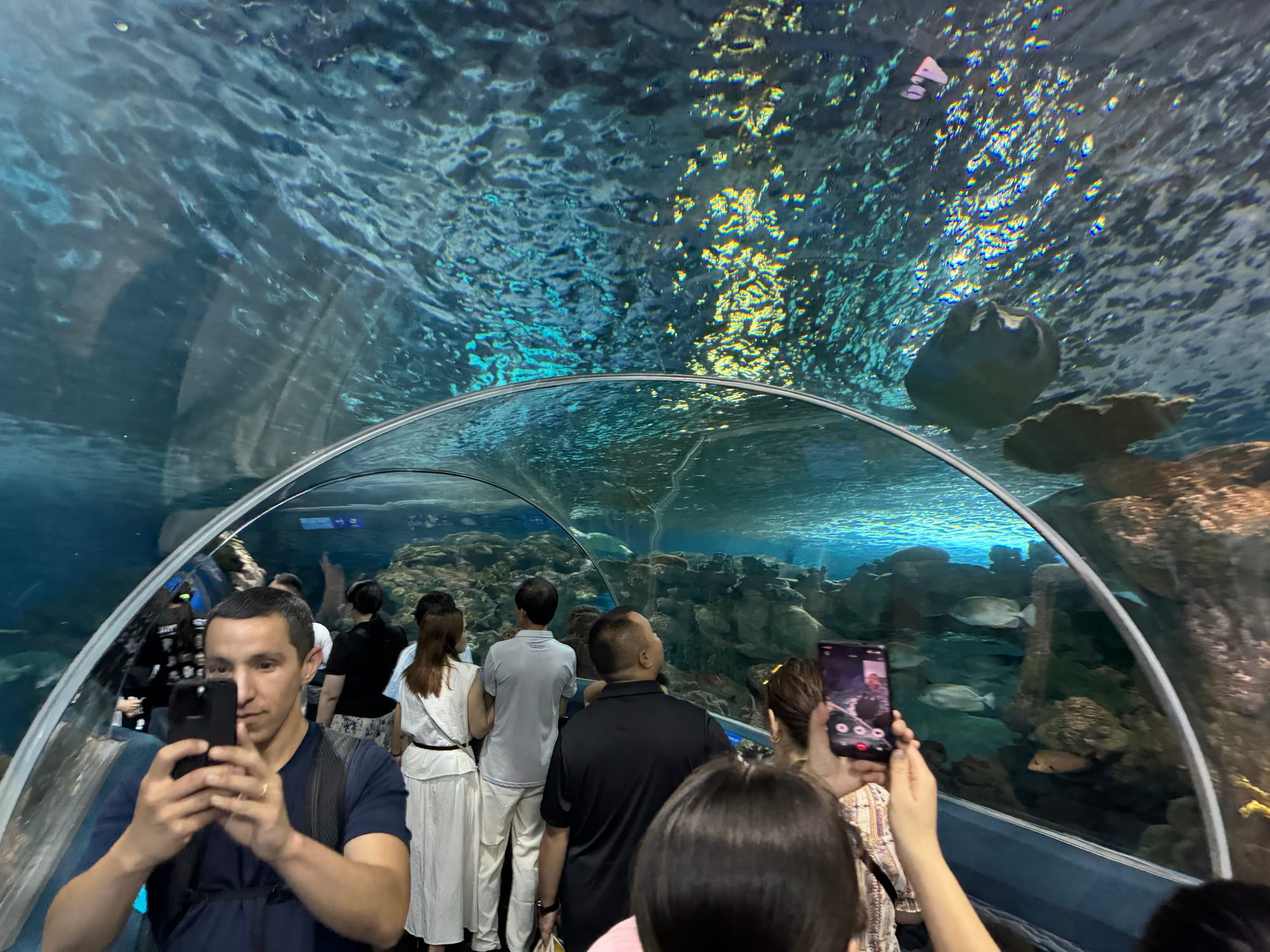 Underwater tunnel in Shanghai Ocean Aquarium