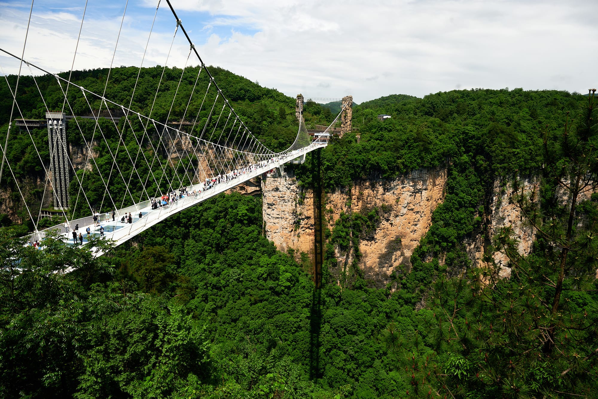 Grand Canyon and Glass Bridge in Zhangjiajie