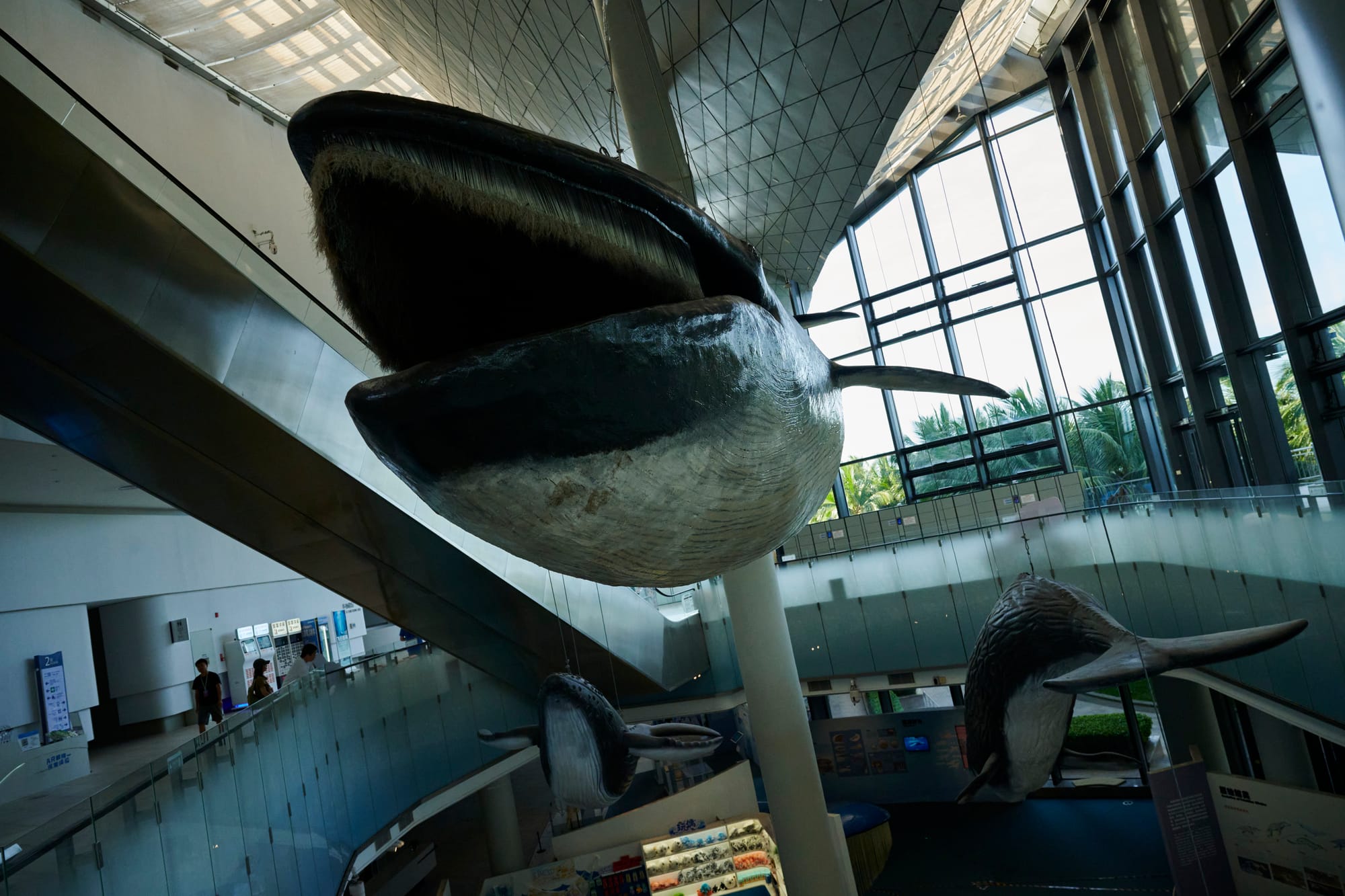 Museum of South China Sea