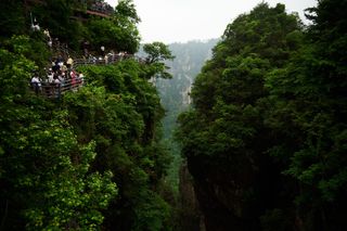 Where to Stay in Zhangjiajie: Best Areas & Hotels (2026)