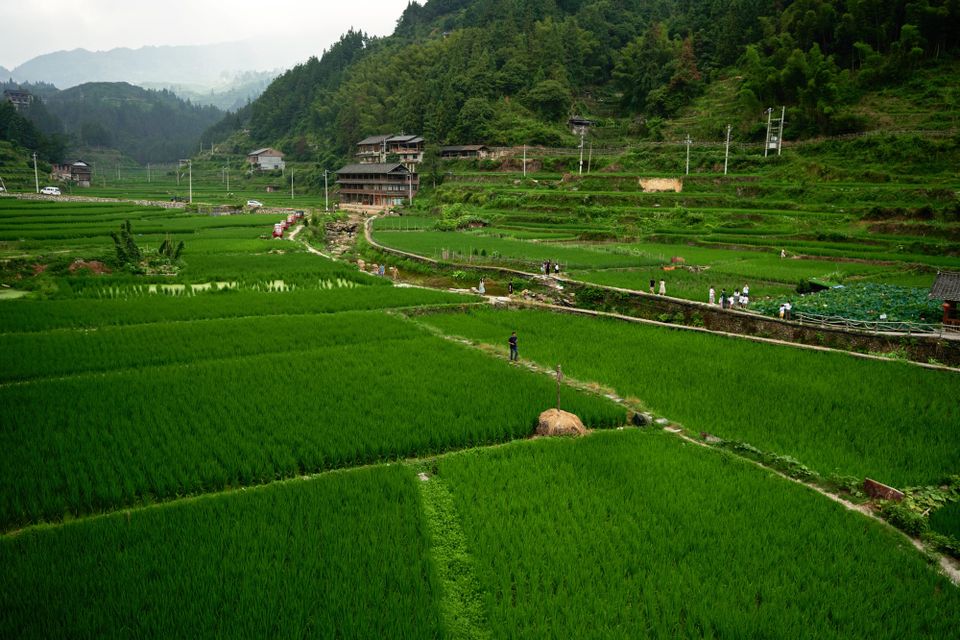 Zhaoxing