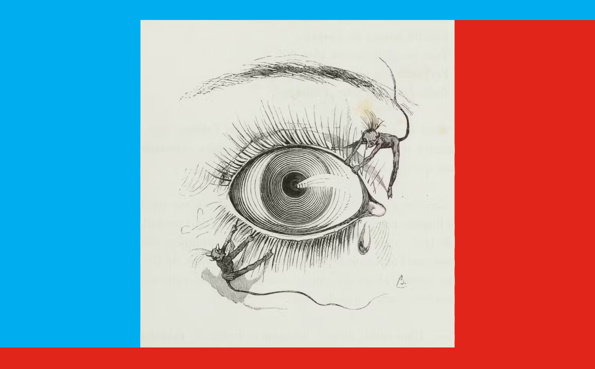 4 Myths Worth Busting About George Orwell and '1984'