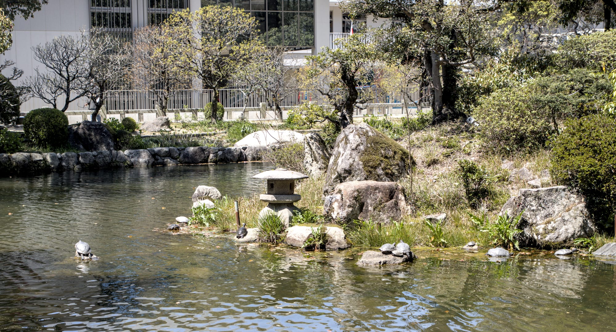 Day 6a - Dazaifu for some Knowledge