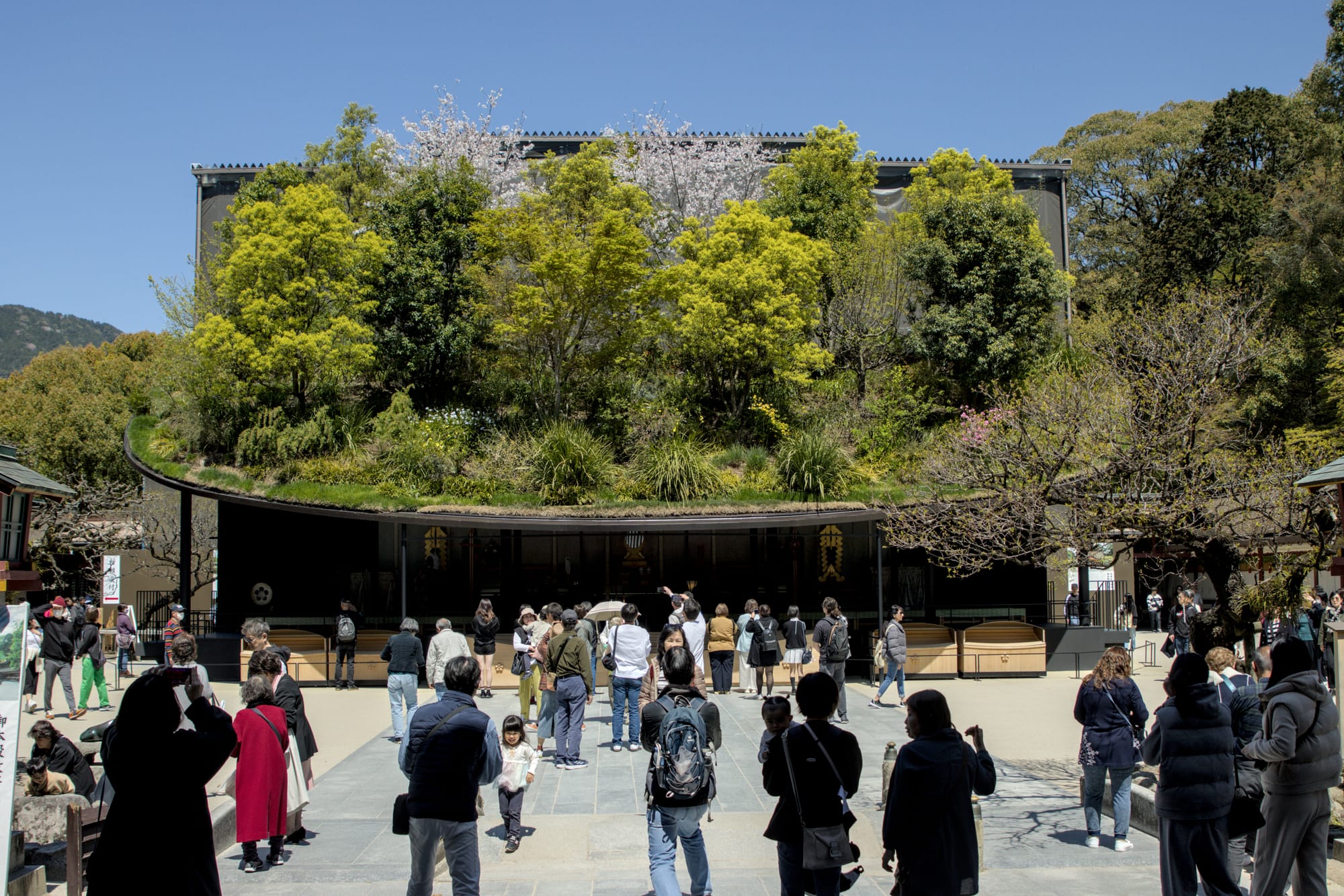 Day 6a - Dazaifu for some Knowledge