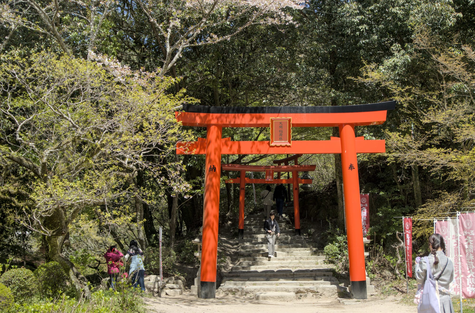 Day 6a - Dazaifu for some Knowledge