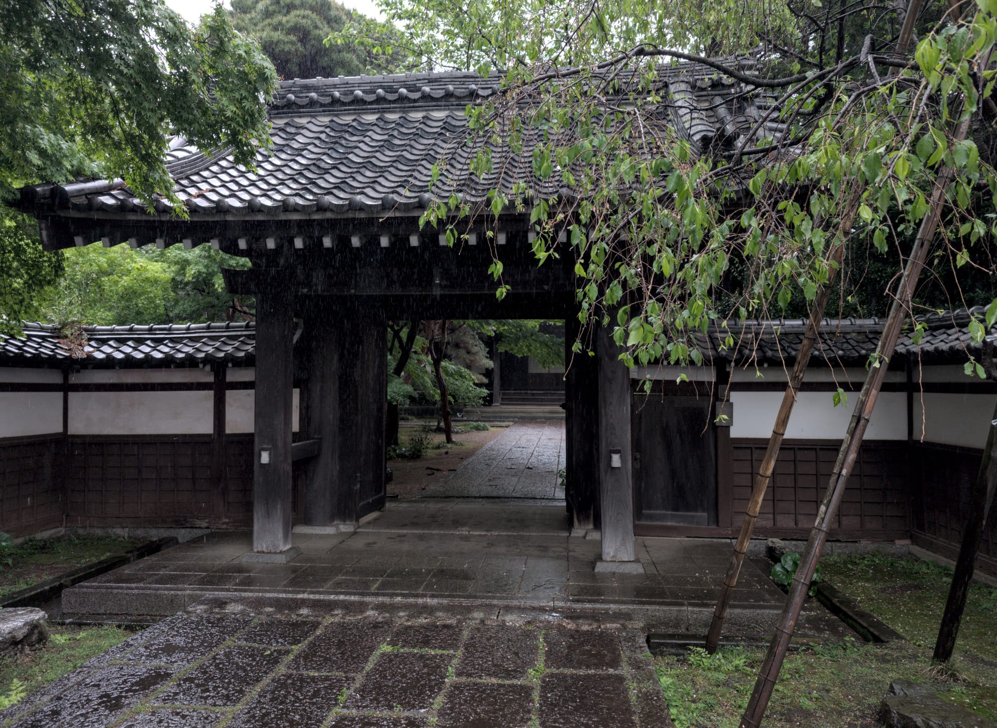 Japan 2025 - Special Edition - Tokyo Eating...