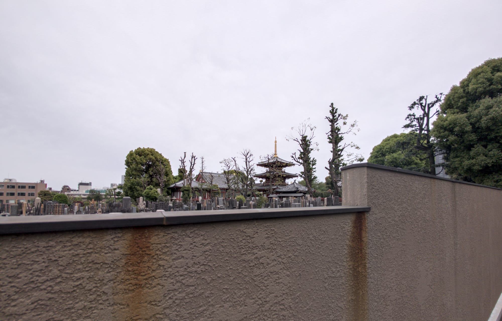 Day 19 Tokyo High and Low Wandering