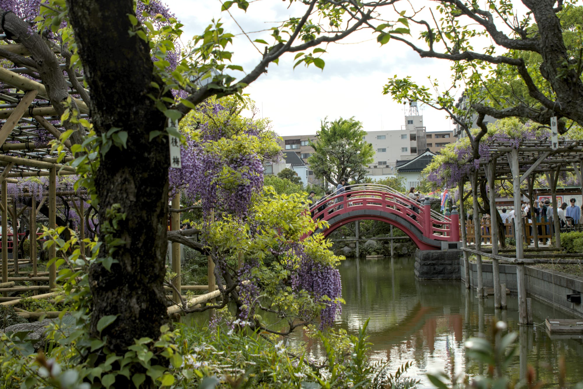 Day 19 Tokyo High and Low Wandering