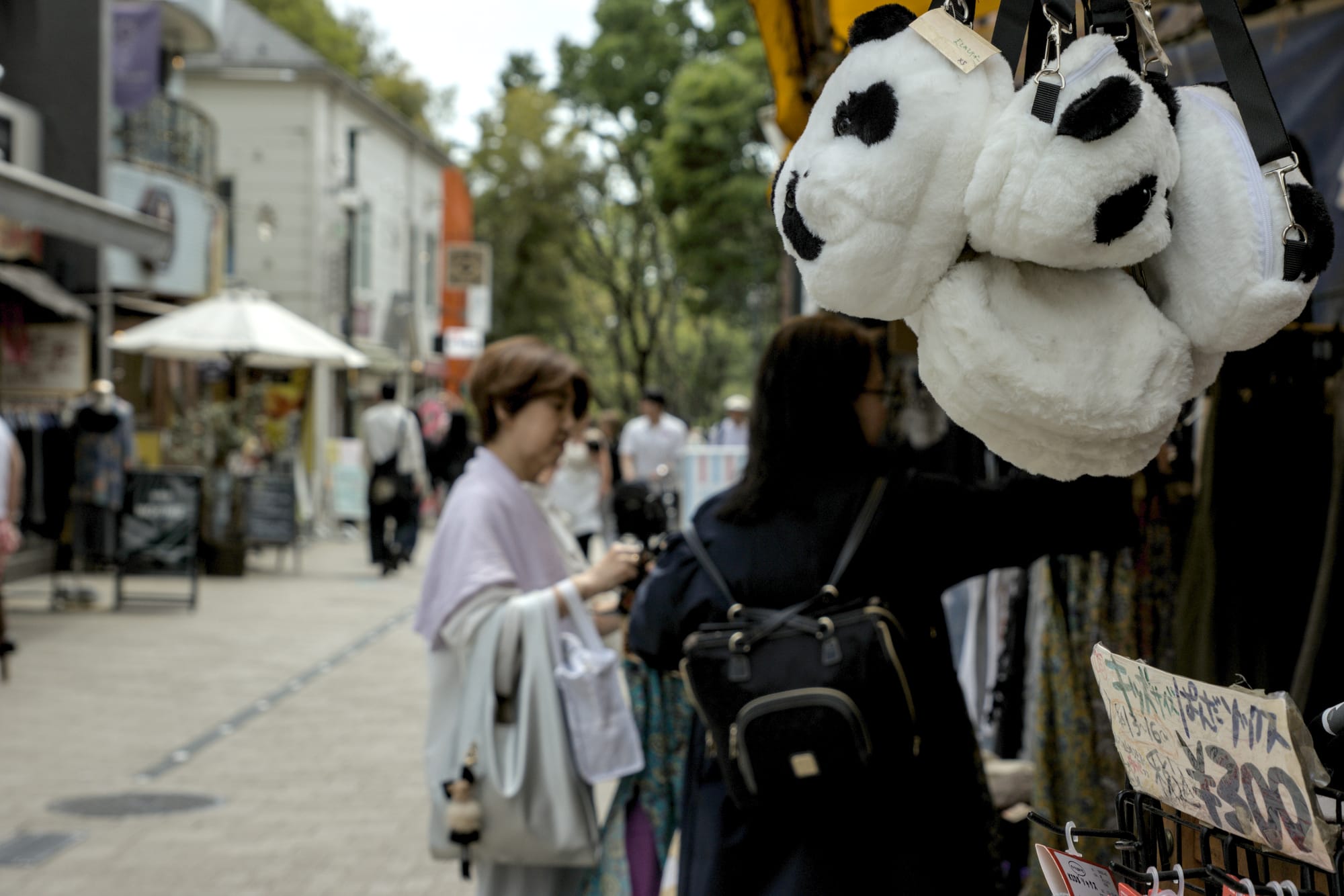 Day 21 Wandering old Stomping Grounds