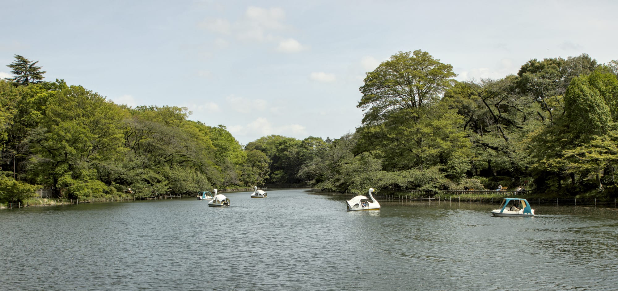 Day 21 Wandering old Stomping Grounds