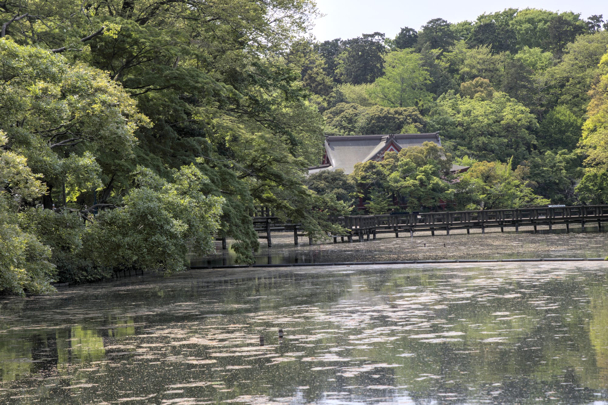 Day 21 Wandering old Stomping Grounds