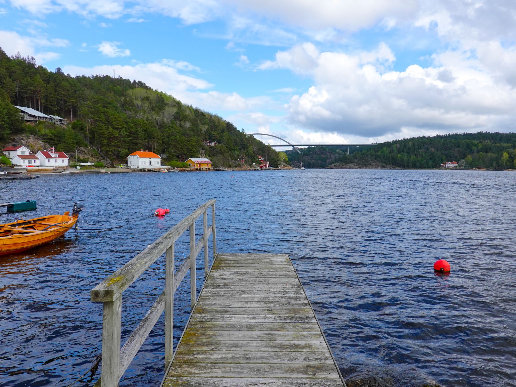 Sponvika