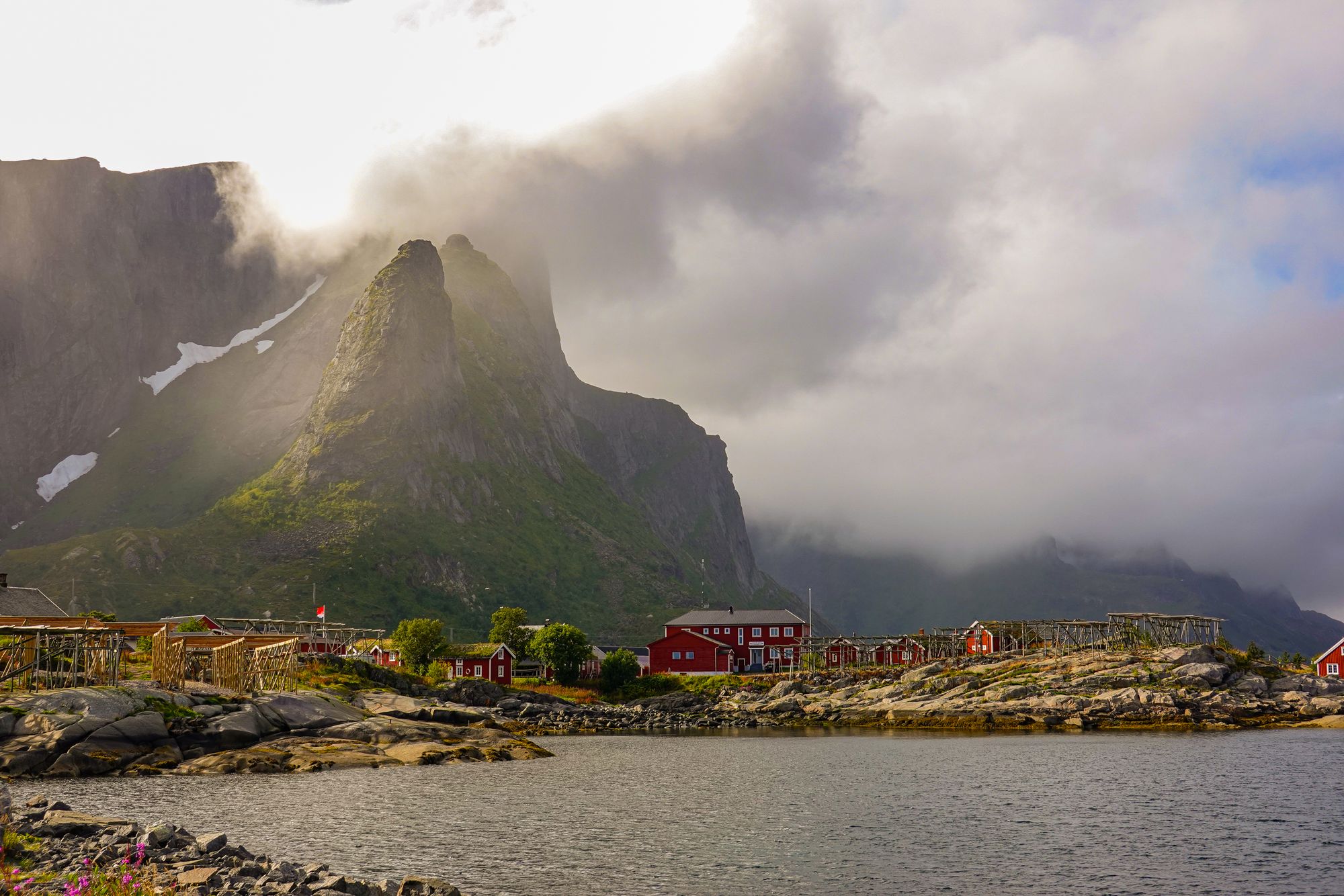 Vilt og vakkert på Reine - Lofoten