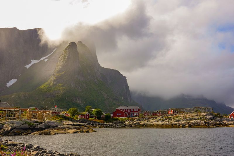 Vilt og vakkert på Reine - Lofoten