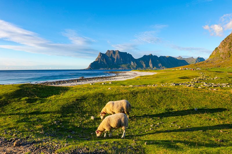 Norges mest fotograferte strand - Uttakleiv i Lofoten
