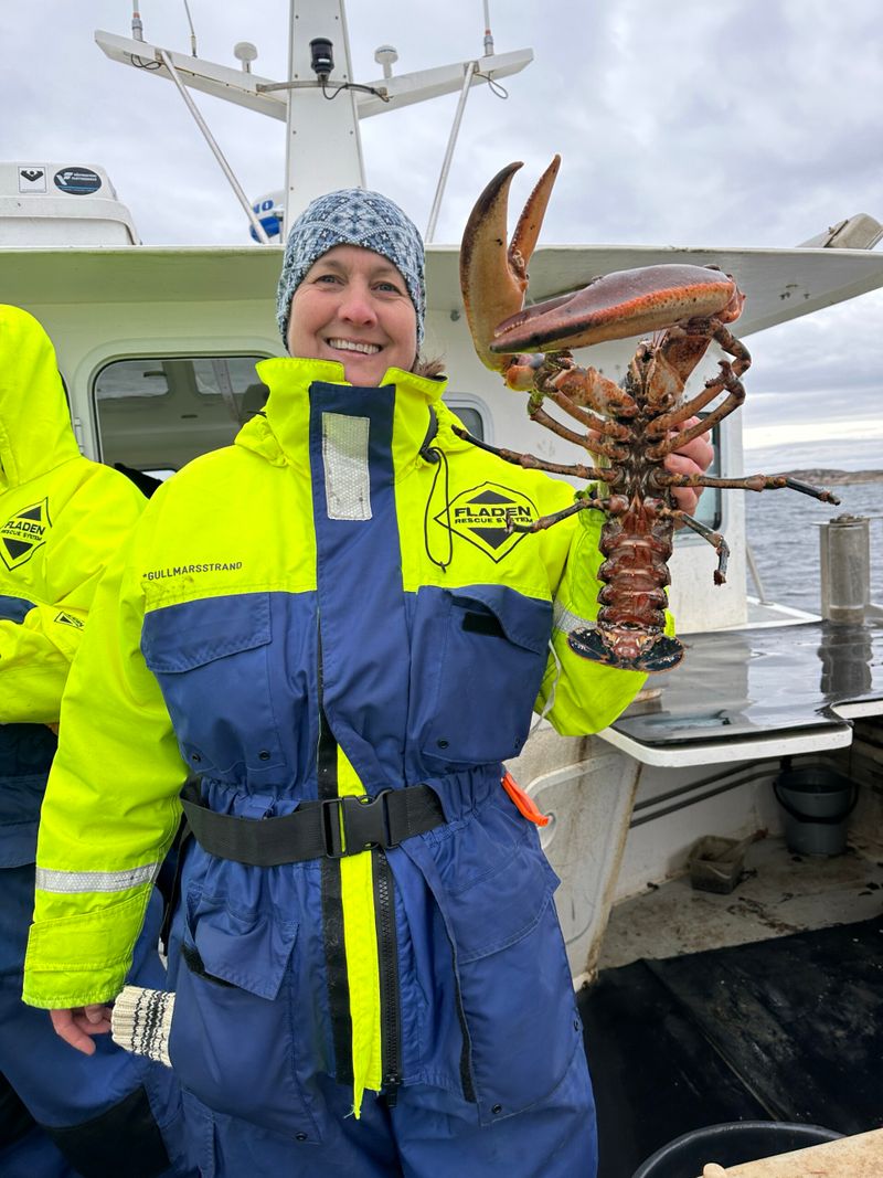 Hummerfiske og spa på vakre svenskekysten
