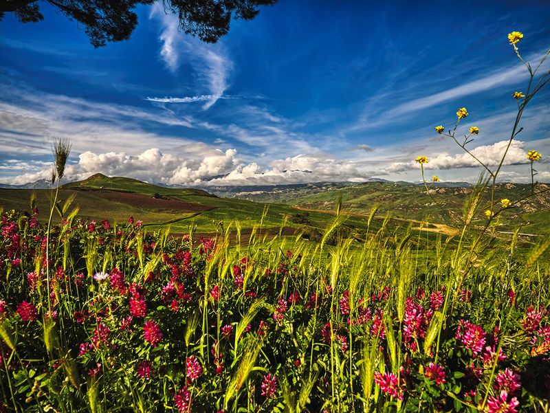 Vakre Sicilia - Roadtrip i 8 dager!