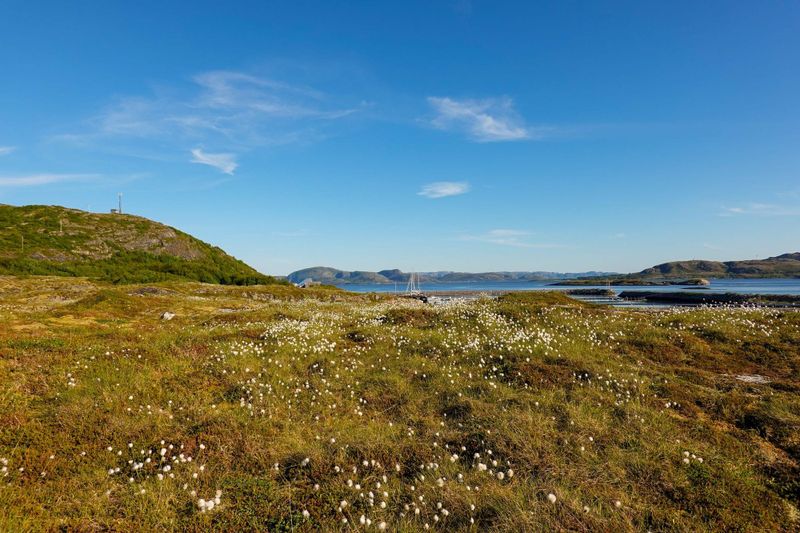 Stokkøya og Linesøya – to kystperler ytterst i Trøndelag