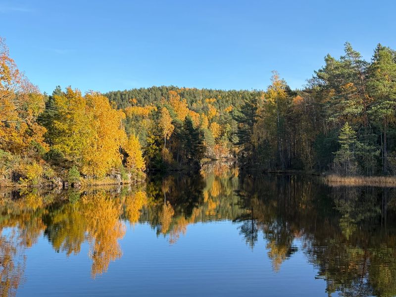 Nesodden og isdamrunden