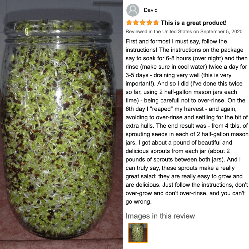 broccoli seeds for sprouting