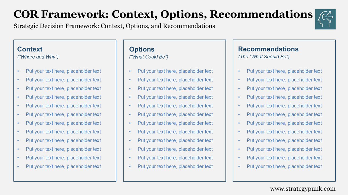 Strategic Decision Framework: Context, Options, and Recommendations