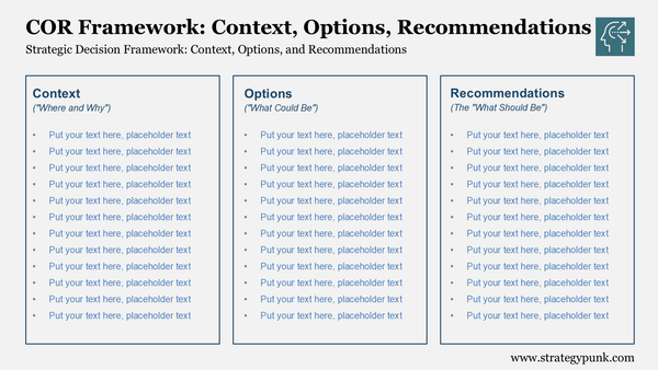 Strategic Decision Framework: Context, Options, and Recommendations