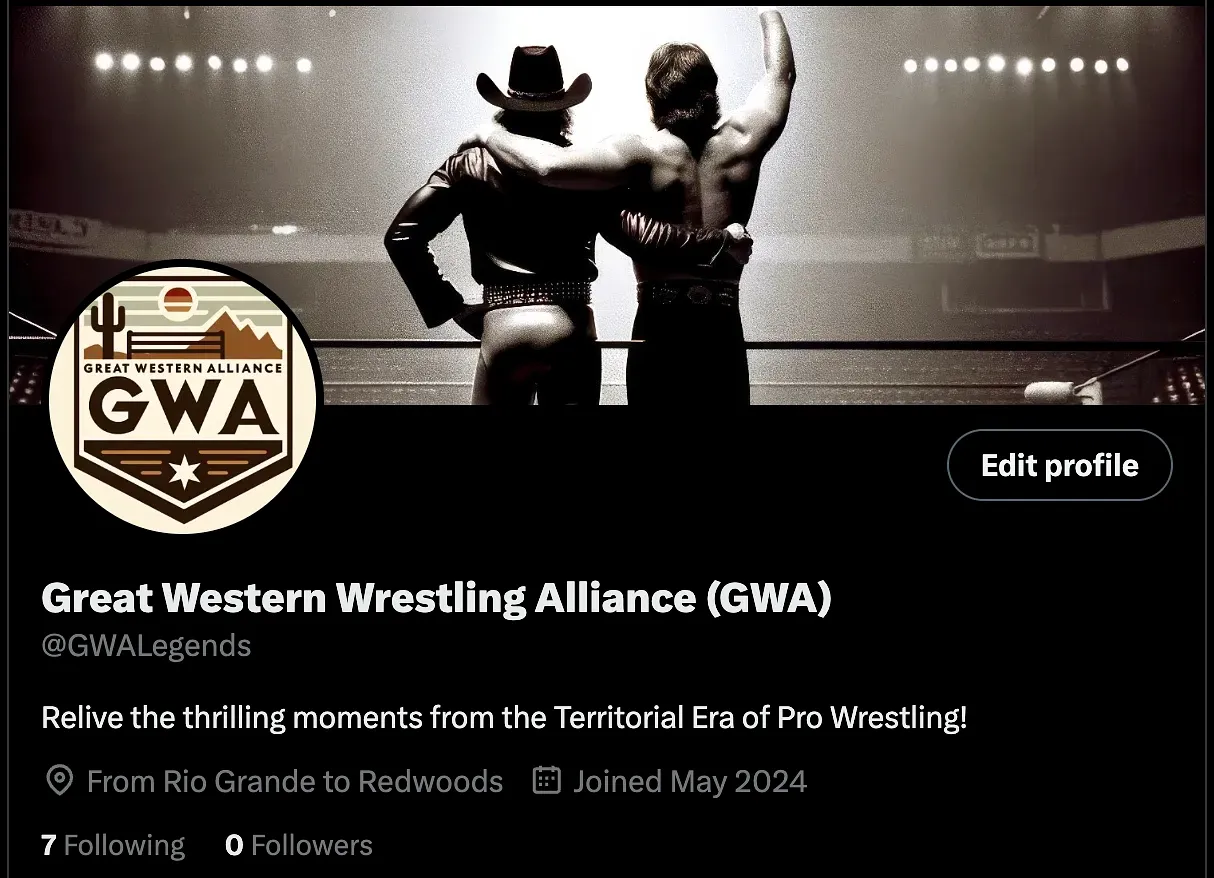 Two wrestlers stand in a boxing ring wearing black leather outfits, one in a cowboy hat with hand on hip, the other with arm raised, lit by overhead stadium lights.