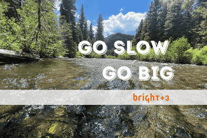 Do you think it could be slower?