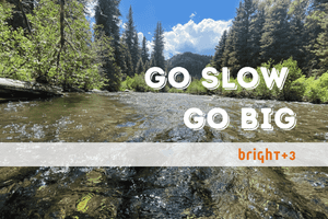 Do you think it could be slower?