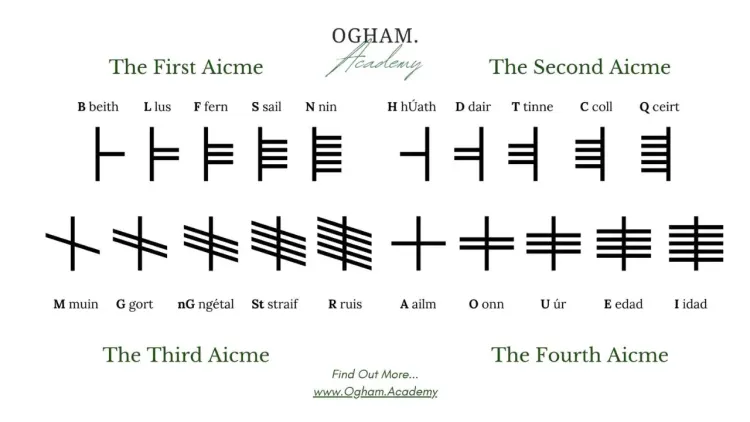 Ogham Wisdom With Mr. Luis