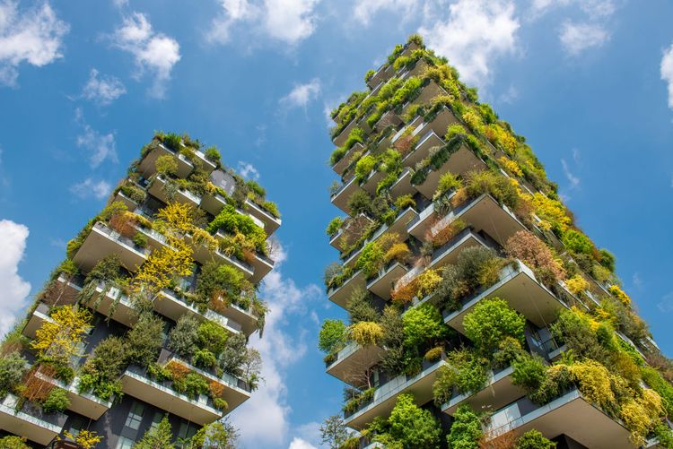 Two Towers, One Forest