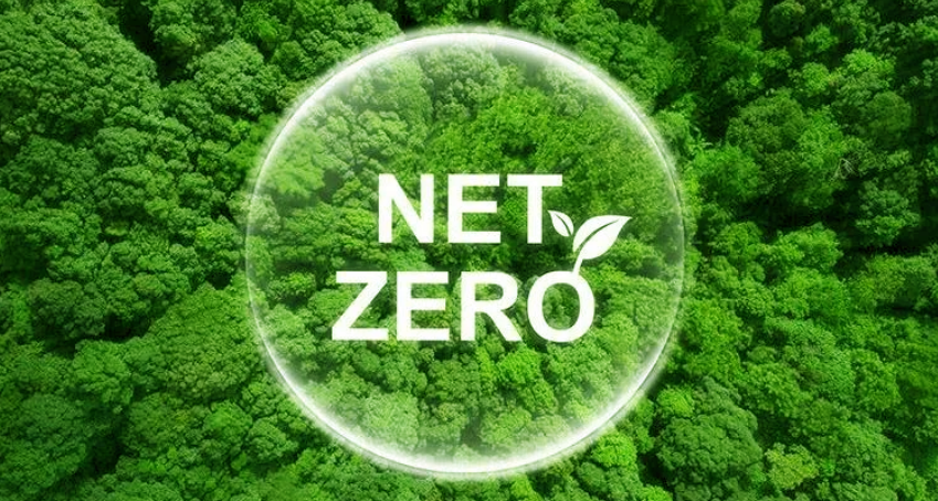 AI 발전에 대한 모순 넷-제로(Net-Zero)?