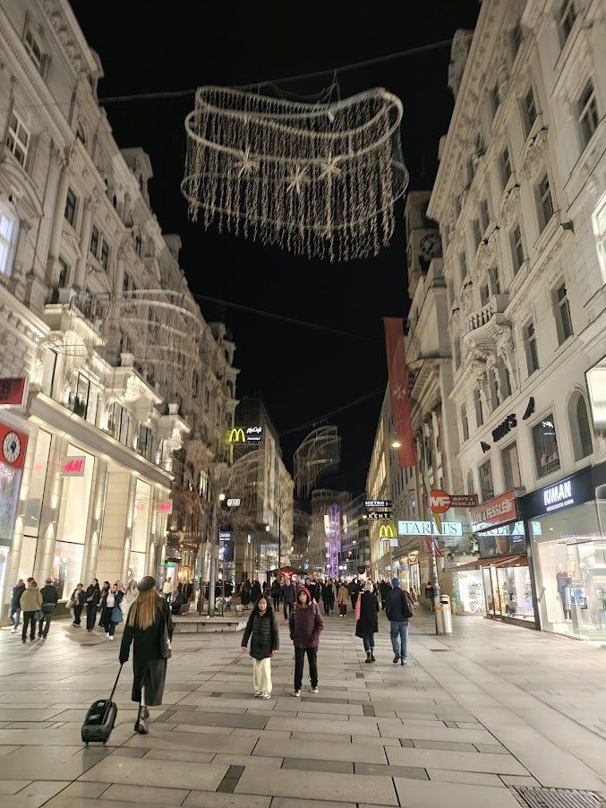 La elegancia suprema de Viena